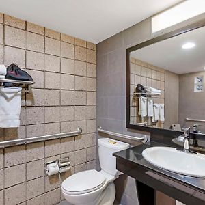 King Room Roll Shower Disability Access